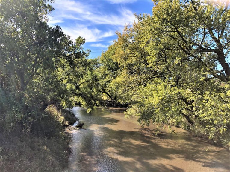 Avoca 5183 orig 768x576