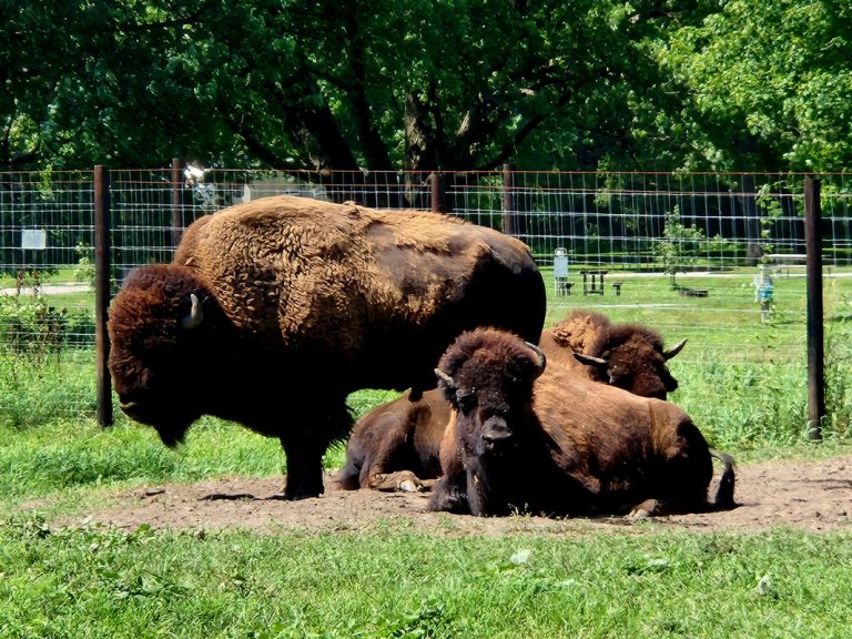 hancock3 orig 768x576