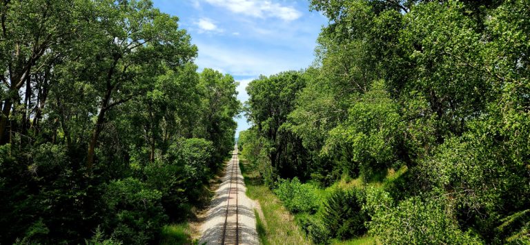 hancock4 orig 768x355