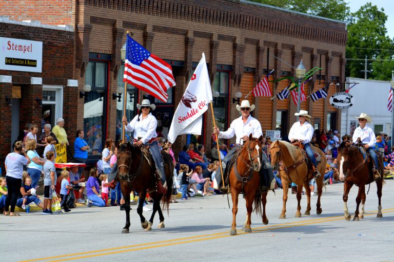 macedonia horses orig 768x512