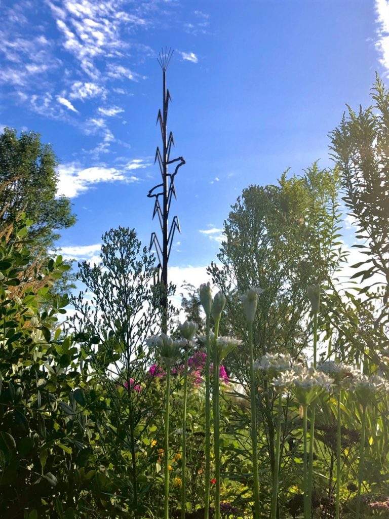 shelby tall orig 768x1025