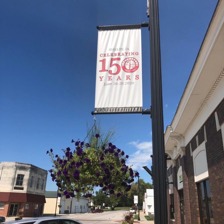 shelby4 2 orig 768x768