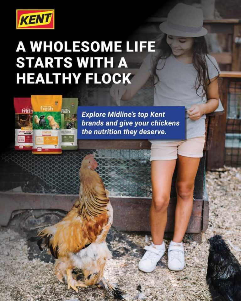 482218983 1536820374265302 2953838582448759958 n 768x959