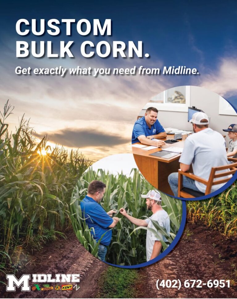 485946783 1552941222653217 6337241100897346286 n 768x972